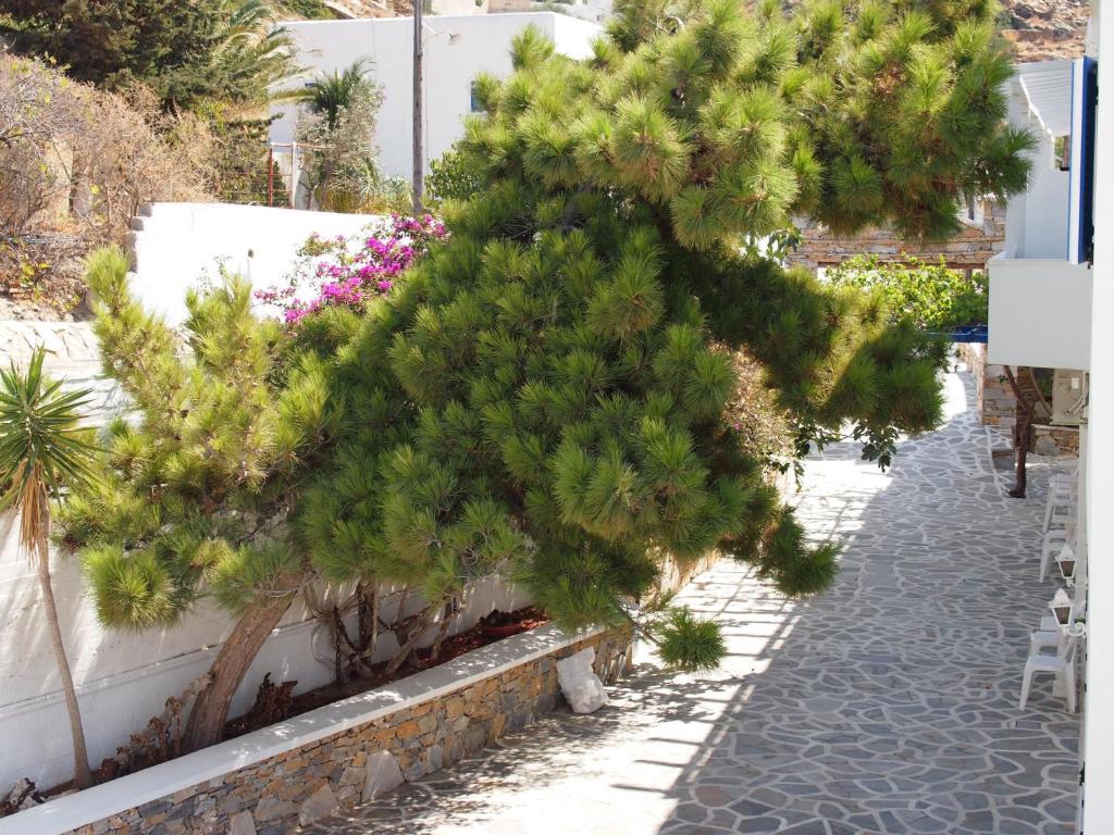 Homer'S Inn Hotel Ίος Εξωτερικό φωτογραφία